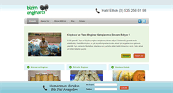 Desktop Screenshot of bizimenginarci.com