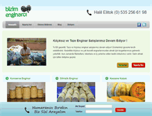 Tablet Screenshot of bizimenginarci.com